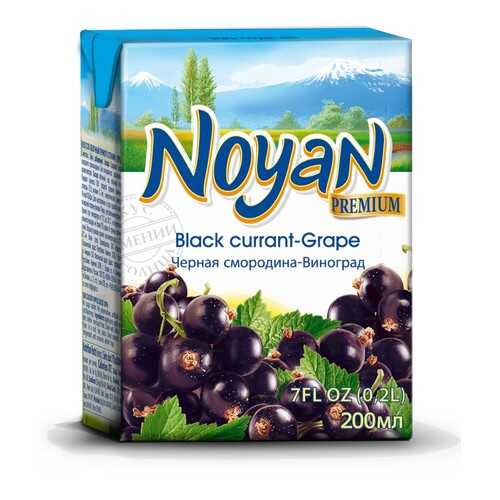 Черная смородина-виноград нектар Noyan premium 0.2 л в Билла