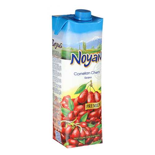 Кизиловый нектар Noyan premium 1л в Билла